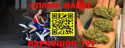 спиды Будённовск
