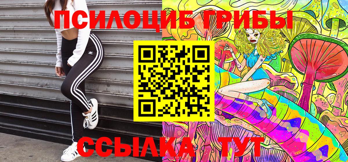 Галлюциногенные грибы Psilocybe Челябинск